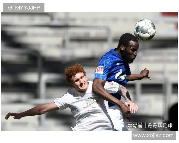 沙尔克与沃尔夫在2017年的精彩对决回顾与分析